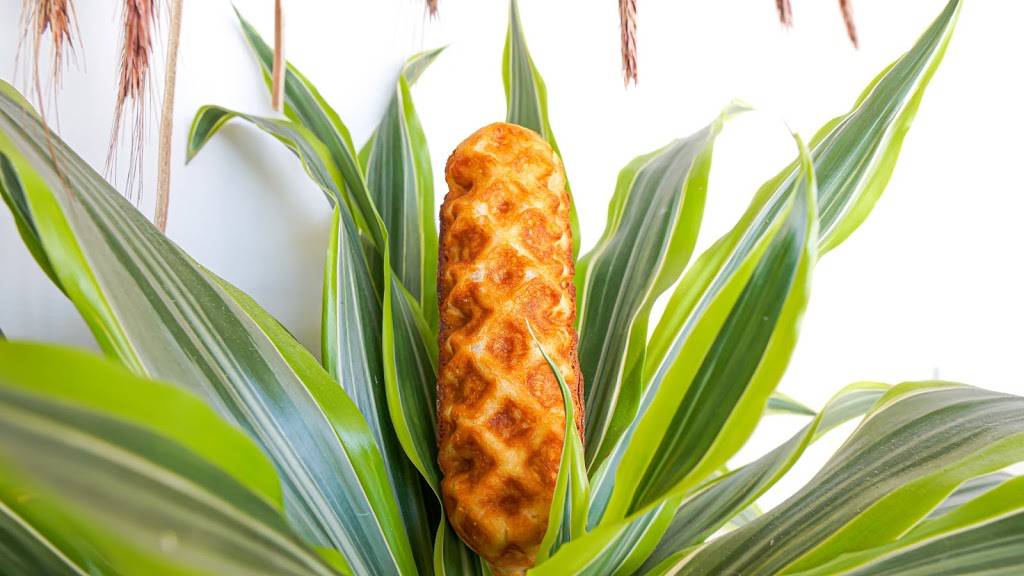 Spoiled Vegans Cafe | restaurant | 440 16th St, San Diego, CA 92101, USA | 6193208366 OR +1 619-320-8366