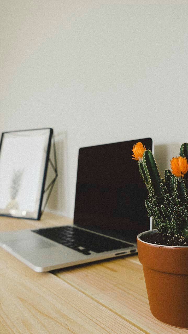 Wingstop | restaurant | 1712 W 119th St, Chicago, IL 60643, USA | 7739289464 OR +1 773-928-9464