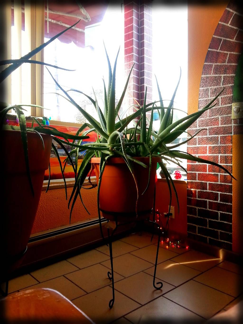 Tacos Express | restaurant | 514 NY-32, Highland Mills, NY 10930, USA | 8459285305 OR +1 845-928-5305