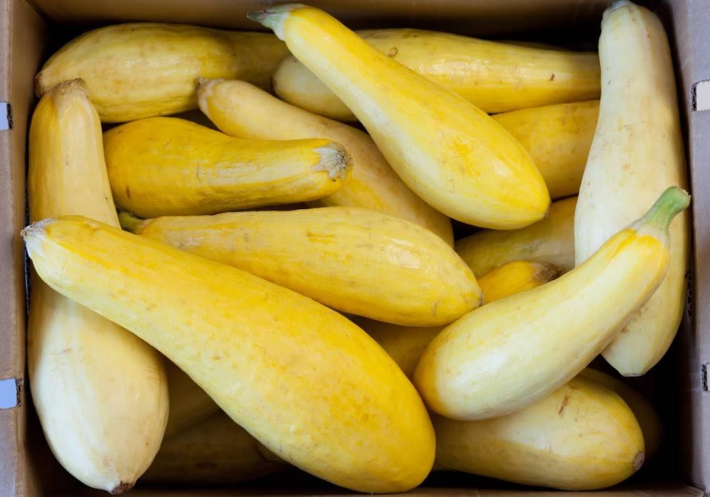 The Pizza Grille - Carlisle | restaurant | 1007 Ritner Hwy, Carlisle, PA 17013, USA | 7172182320 OR +1 717-218-2320