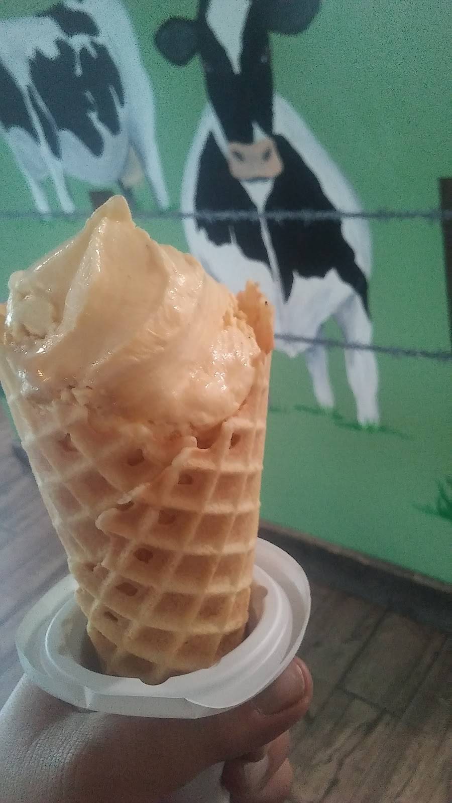 MOO-ville Creamery in Ionia "The Udder Store" | restaurant | 162 E Tuttle Rd, Ionia, MI 48846, USA | 6165234250 OR +1 616-523-4250