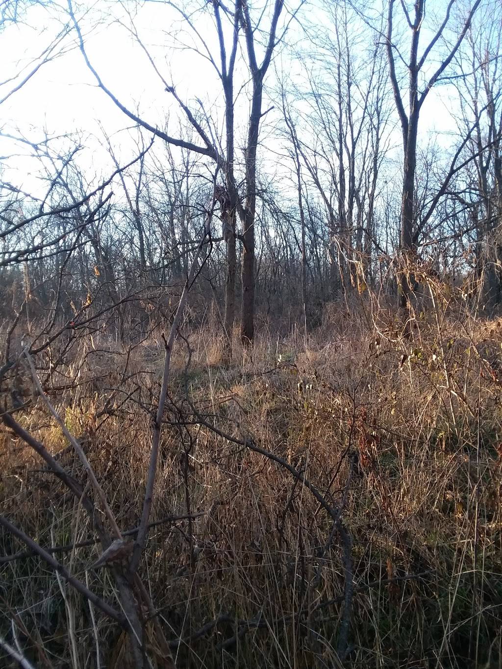 Hidden Lake Golf Club | restaurant | 12985 645 E St, Sheffield, IL 61361, USA | 8154542660 OR +1 815-454-2660