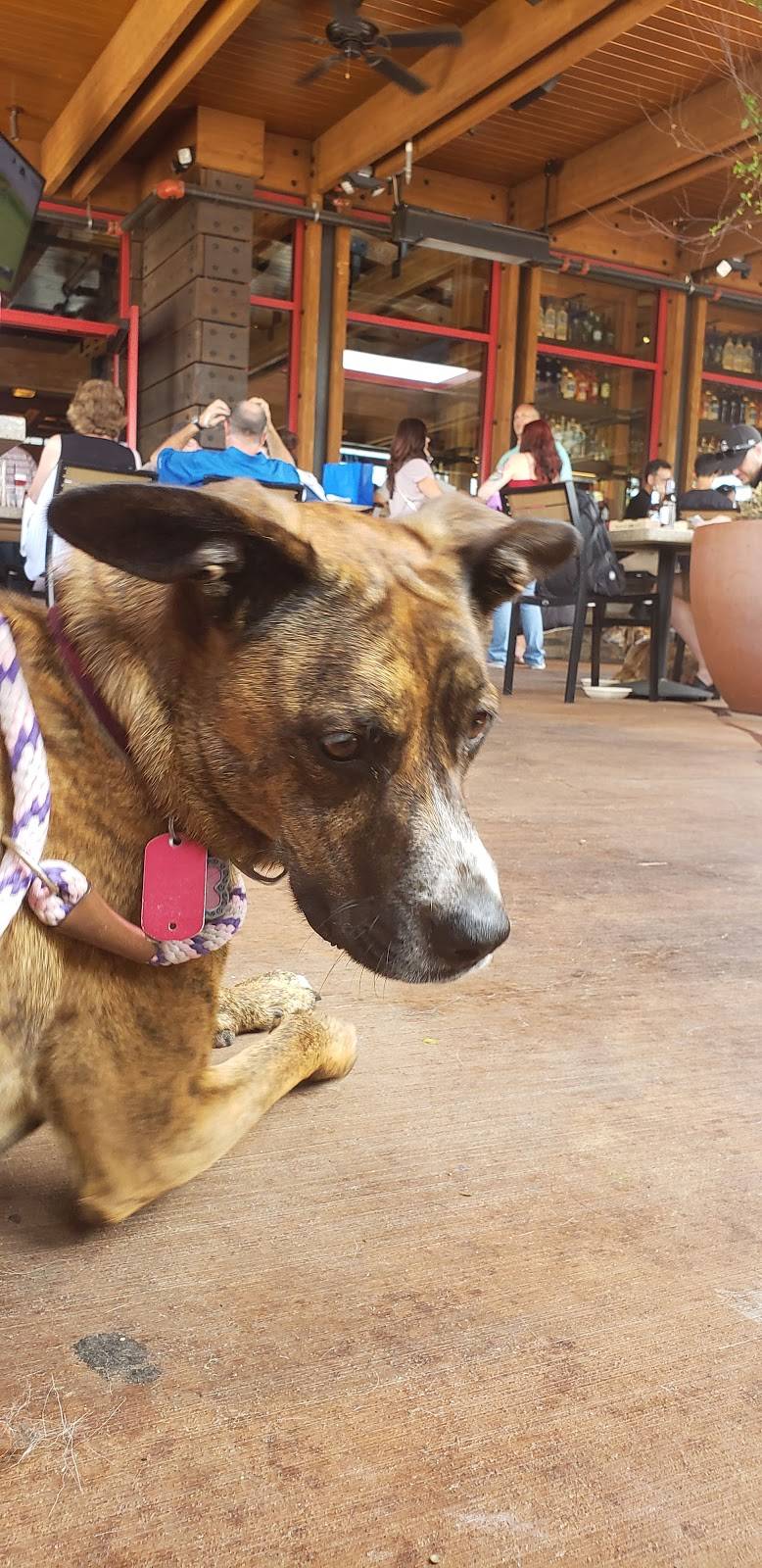 Lazy Dog Restaurant & Bar | restaurant | 14618 Delaware St, Westminster, CO 80023, USA | 7204595613 OR +1 720-459-5613