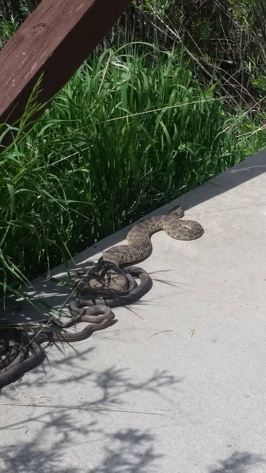 Meadows Golf Club | restaurant | 7007 Meadows Golf Club Drive, Littleton, CO 80127, USA | 3034092250 OR +1 303-409-2250