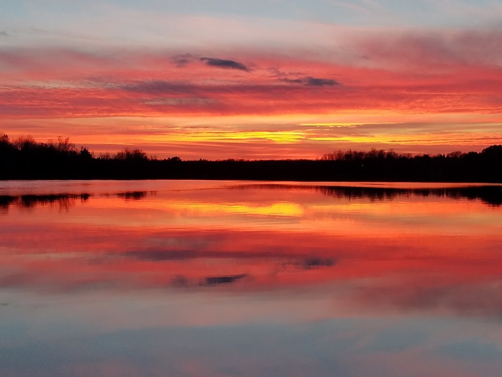 Northern Pines Resort | restaurant | N16243 Lakeshore Dr, Butternut, WI 54514, USA | 7157623001 OR +1 715-762-3001