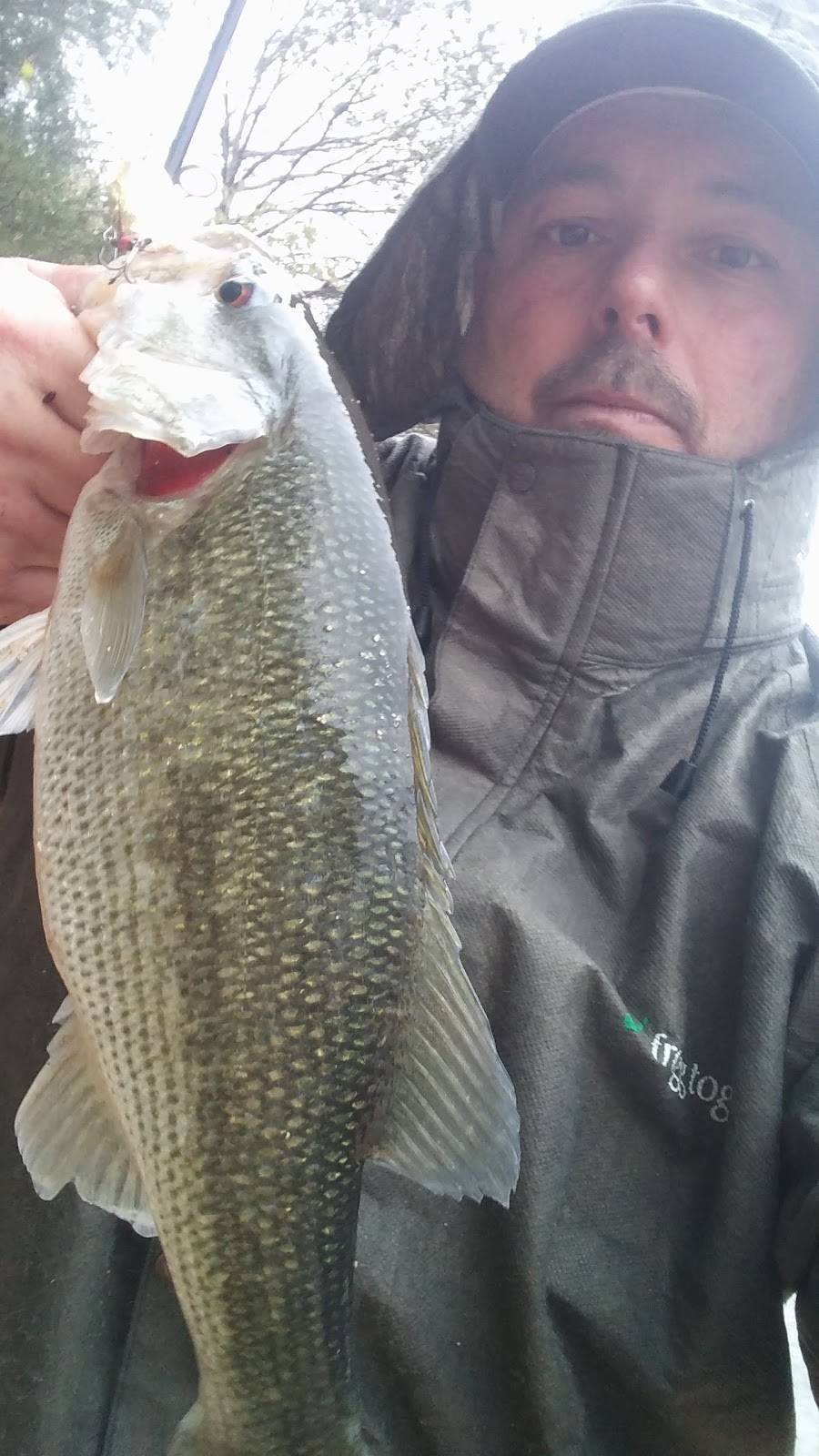 Steve’s Landing Waterfront Grill | restaurant | 1145 Poling Cir, Soddy-Daisy, TN 37379, USA | 4233324098 OR +1 423-332-4098