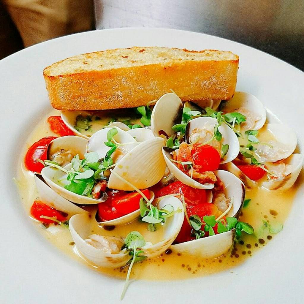 Snappers Oceanfront Restaurant & Bar | restaurant | 139 Seaside Ave, Key Largo, FL 33037, USA | 3058525956 OR +1 305-852-5956