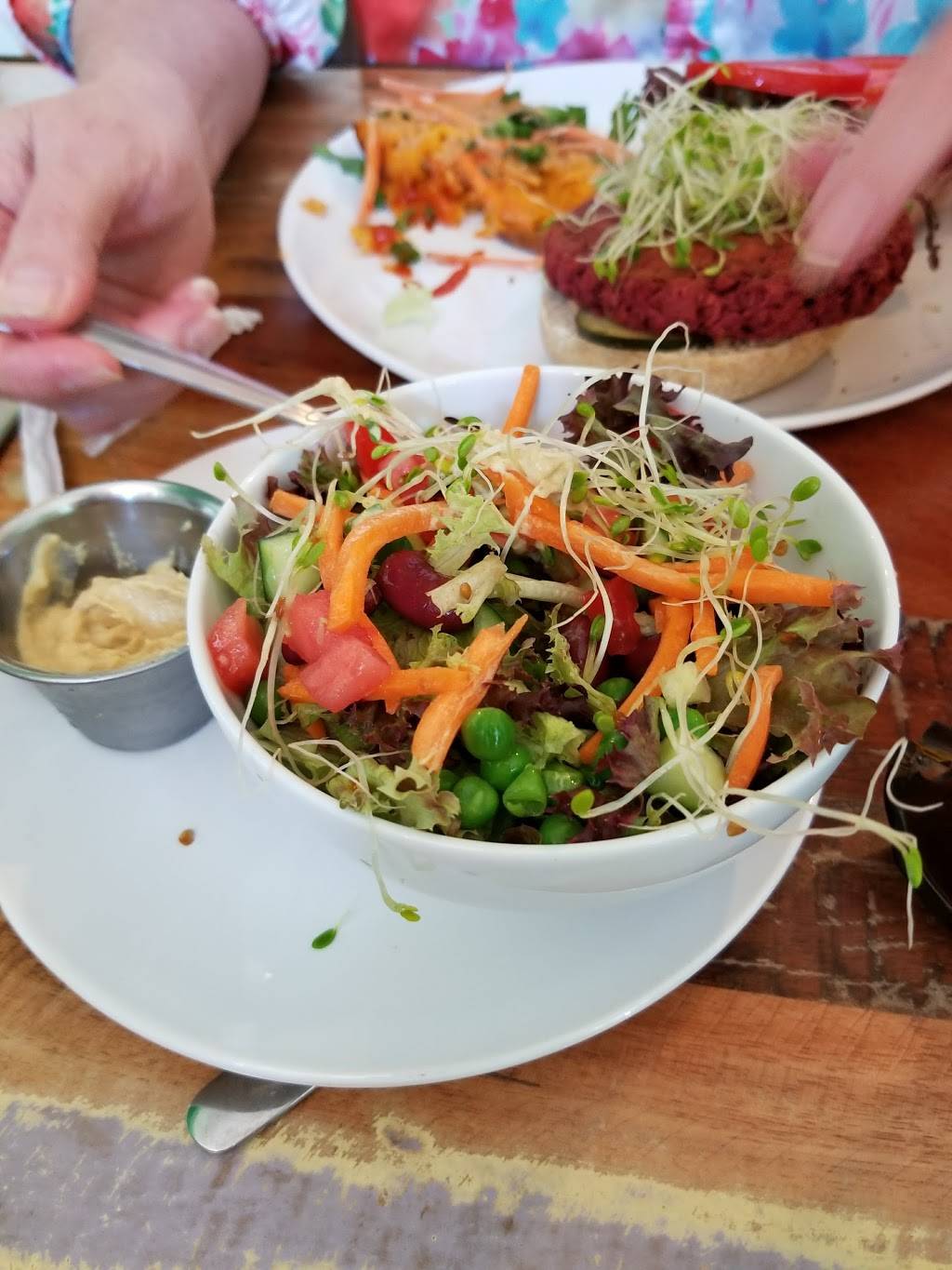 Cashew | restaurant | 149 River St, Chattanooga, TN 37402, USA | 4233555486 OR +1 423-355-5486