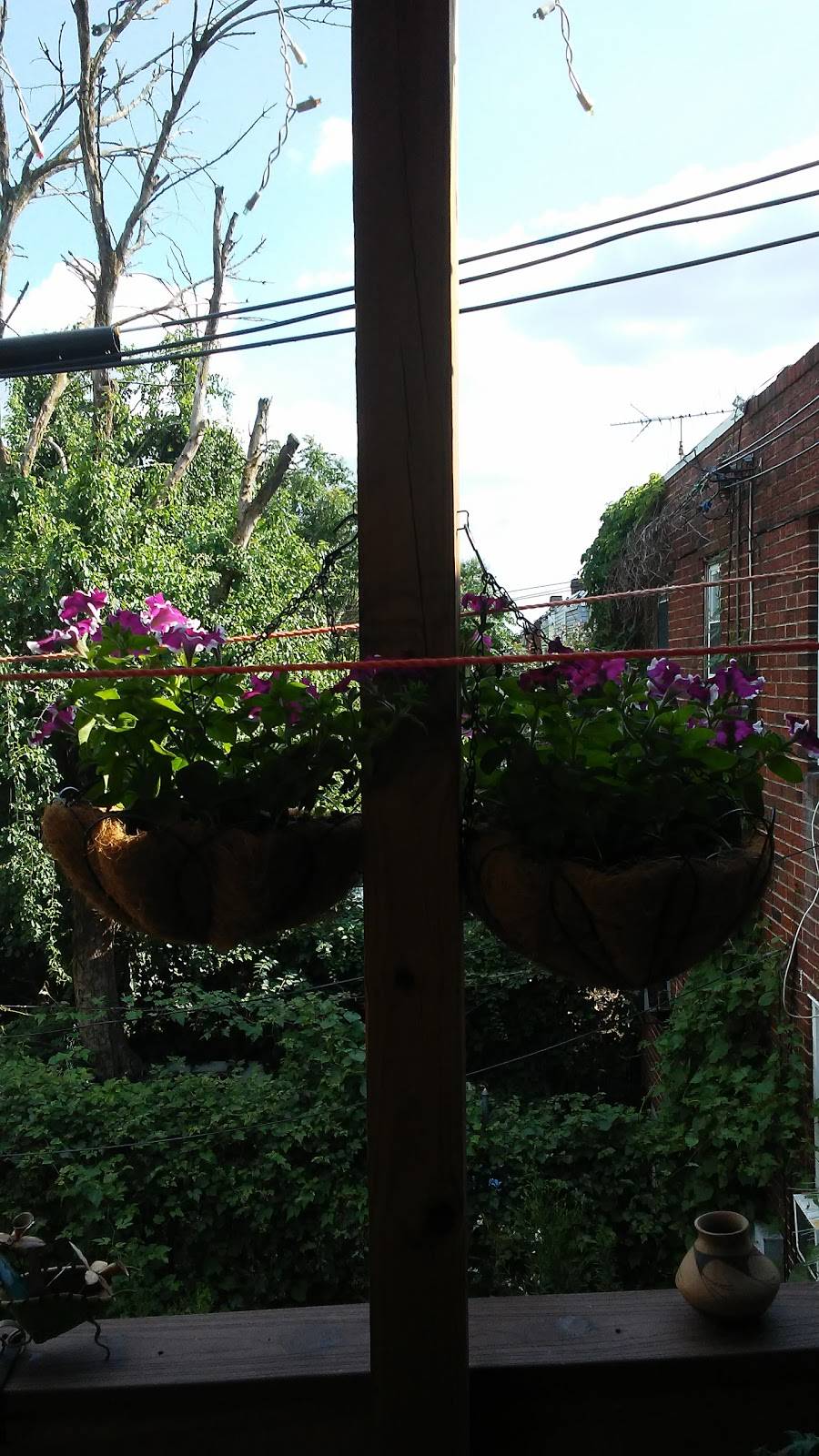 Lucky Garden | restaurant | 4361 N 8th St, Philadelphia, PA 19140, USA | 2153243522 OR +1 215-324-3522