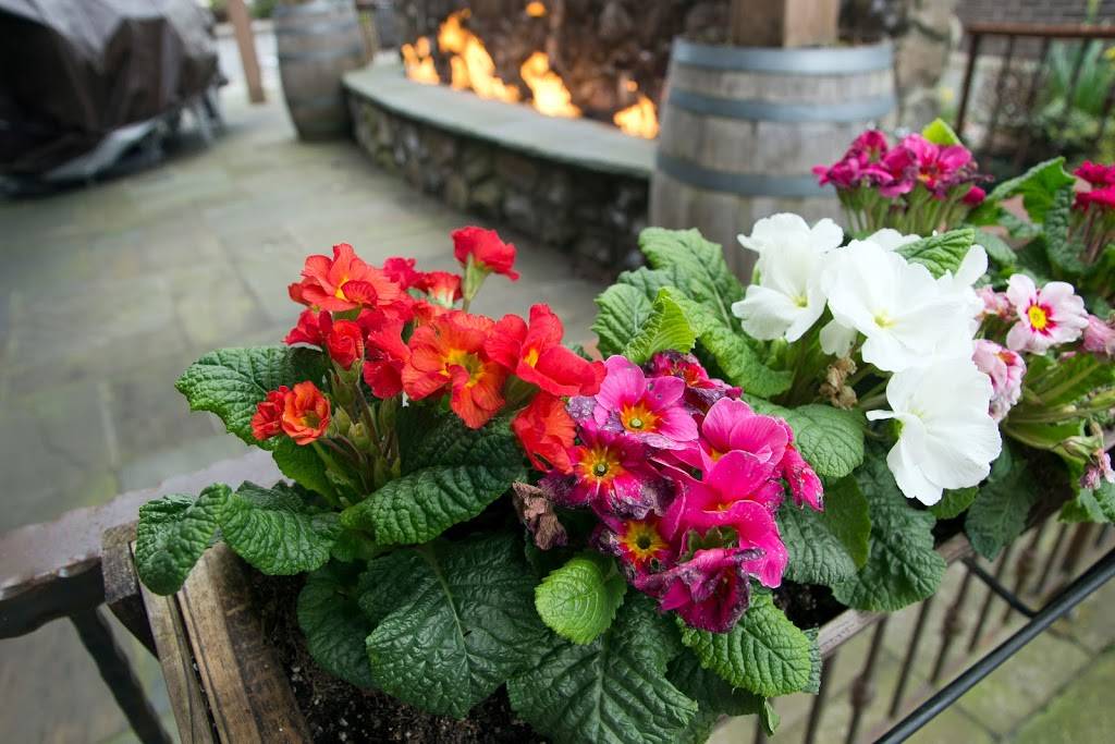 Sip At The Wine Bar & Restaurant | restaurant | 1084 NE Park Dr, Issaquah, WA 98029, USA | 4253691181 OR +1 425-369-1181