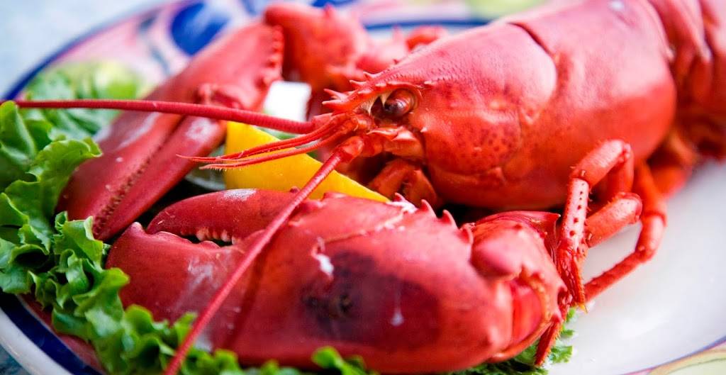 Lobster in The Rough | restaurant | 1000 U.S. Hwy 1, York, ME 03909, USA | 2073631285 OR +1 207-363-1285