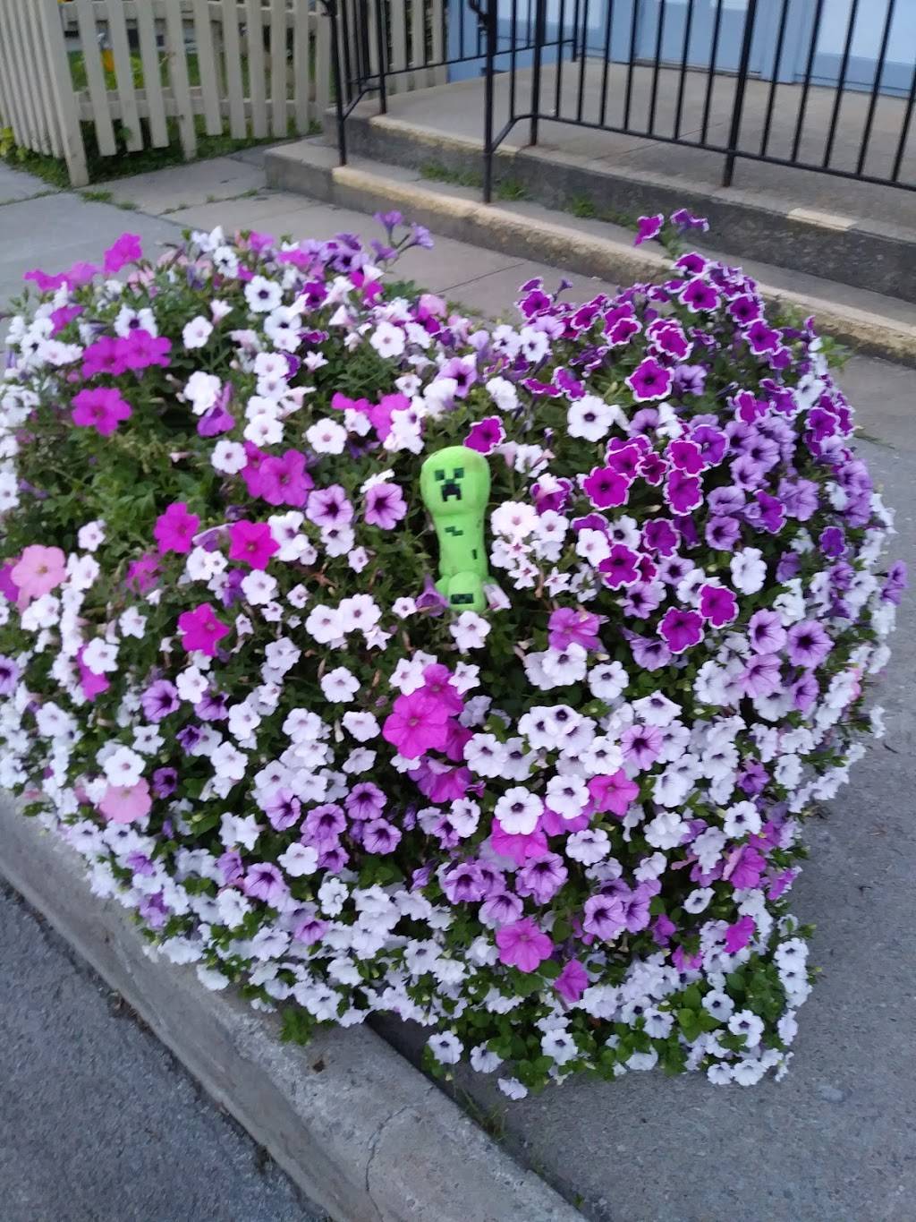 China Garden | restaurant | 101 N Peterboro St, Canastota, NY 13032, USA | 3156978228 OR +1 315-697-8228