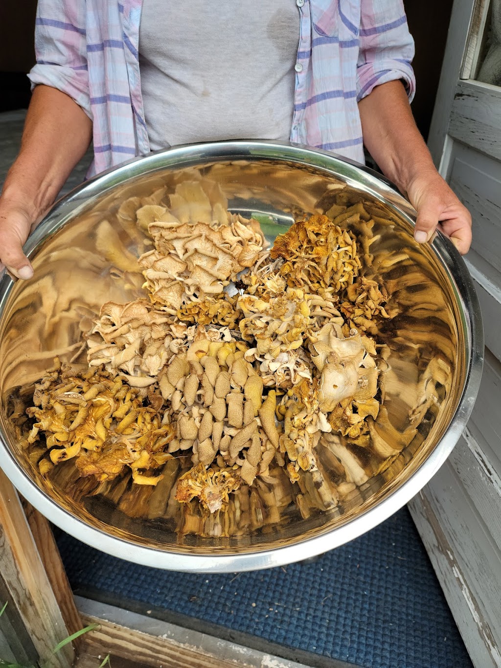 Raw Kurious Kafe | restaurant | 727 Island Ct, Baraboo, WI 53913, USA | 6083939135 OR +1 608-393-9135