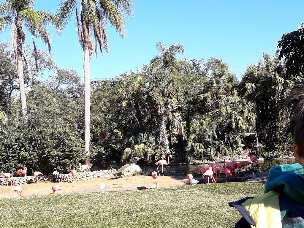 Zambia Smokehouse | restaurant | 9681-9693 N 30th St, Tampa, FL 33612, USA | 8138844386 OR +1 813-884-4386