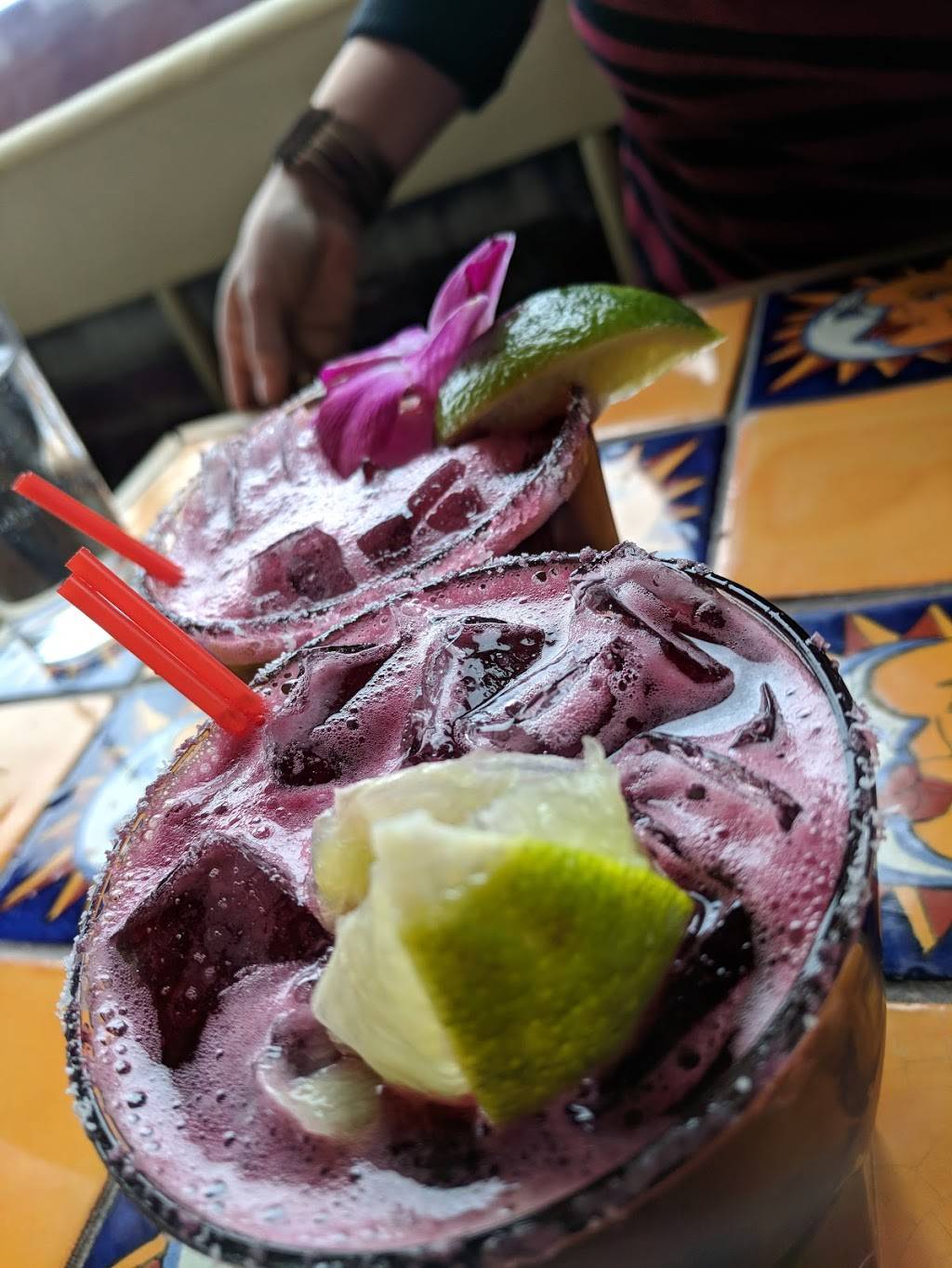 Alma | restaurant | 187 Columbia St, Brooklyn, NY 11231, USA | 7186435400 OR +1 718-643-5400