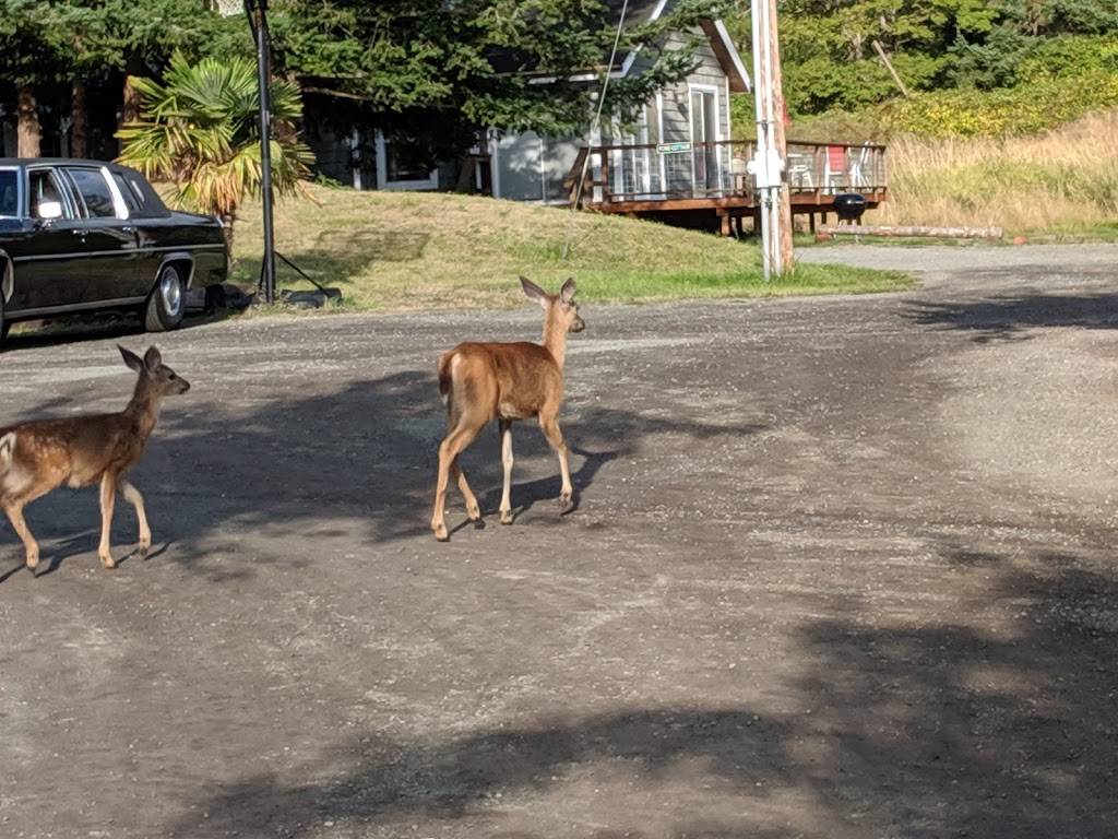 Deer Harbor Inn Restaurant | restaurant | 75 Inn Ln, Eastsound, WA 98245, USA | 3603761040 OR +1 360-376-1040