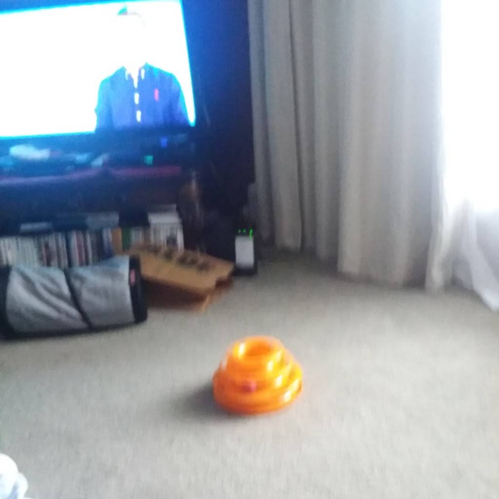 Asian House | restaurant | 3101 W Market St suite 108, Johnson City, TN 37604, USA | 4233280331 OR +1 423-328-0331