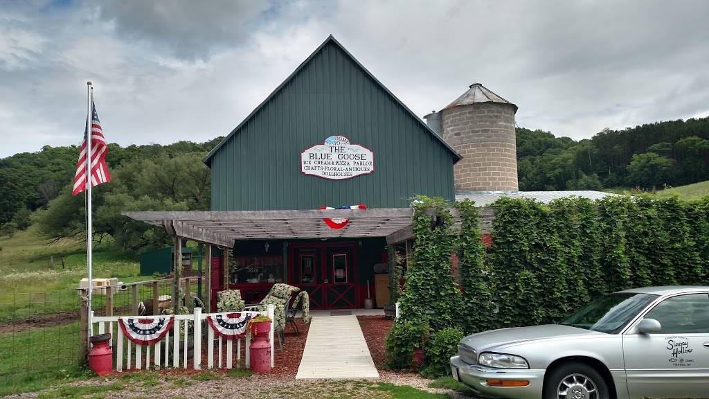 Blue Goose Pizza | restaurant | S2106 24 Valley Rd, La Farge, WI 54639, USA | 6086254335 OR +1 608-625-4335