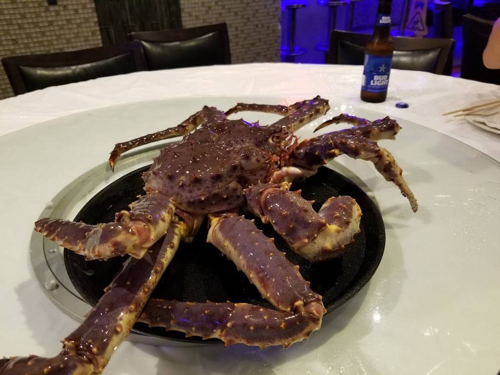 Hai Cang Harbor | restaurant | 11768 Bellaire Blvd #2452, Houston, TX 77072, USA | 2815644288 OR +1 281-564-4288