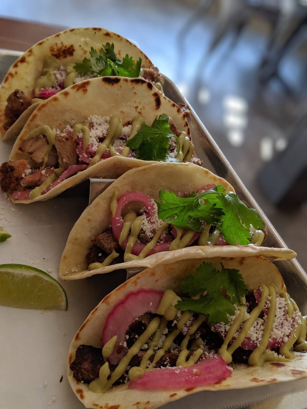 Bird & Co. | restaurant | 539 Deering Ave, Portland, ME 04103, USA | 2077474056 OR +1 207-747-4056