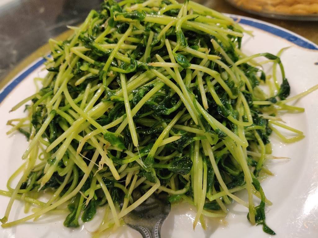 Backyard Garden Restaurant | restaurant | 3636 Steeles Ave E, Markham, ON L3R 1K9, Canada | 9054158988 OR +1 905-415-8988