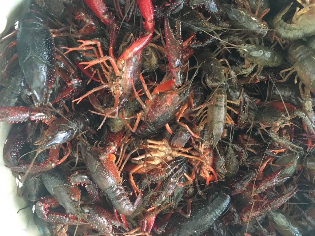 The Seafood Boiler | restaurant | 2804 Grand Point Hwy, Breaux Bridge, LA 70517, USA | 3376676025 OR +1 337-667-6025