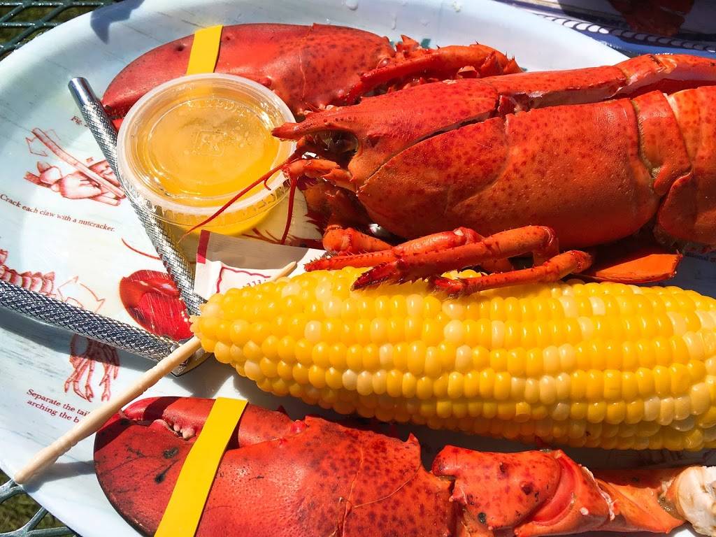 McLaughlins Lobster Shack | restaurant | 12 McKay Rd, Lincolnville, ME 04849, USA | 2077895205 OR +1 207-789-5205