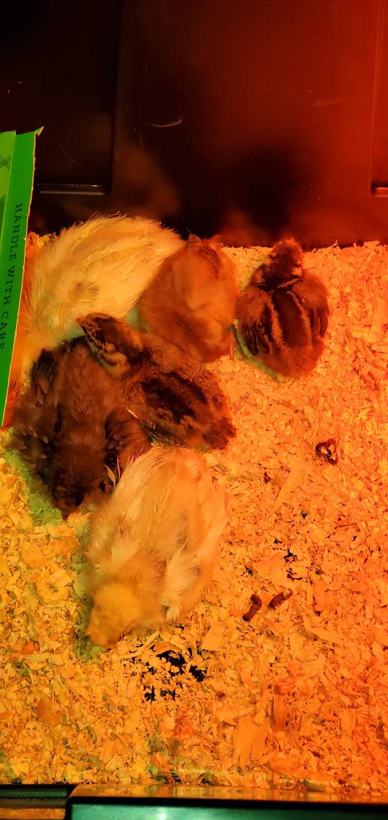 The Western Ranchman Store | restaurant | 16028 N 32nd St, Phoenix, AZ 85032, USA | 6029923410 OR +1 602-992-3410