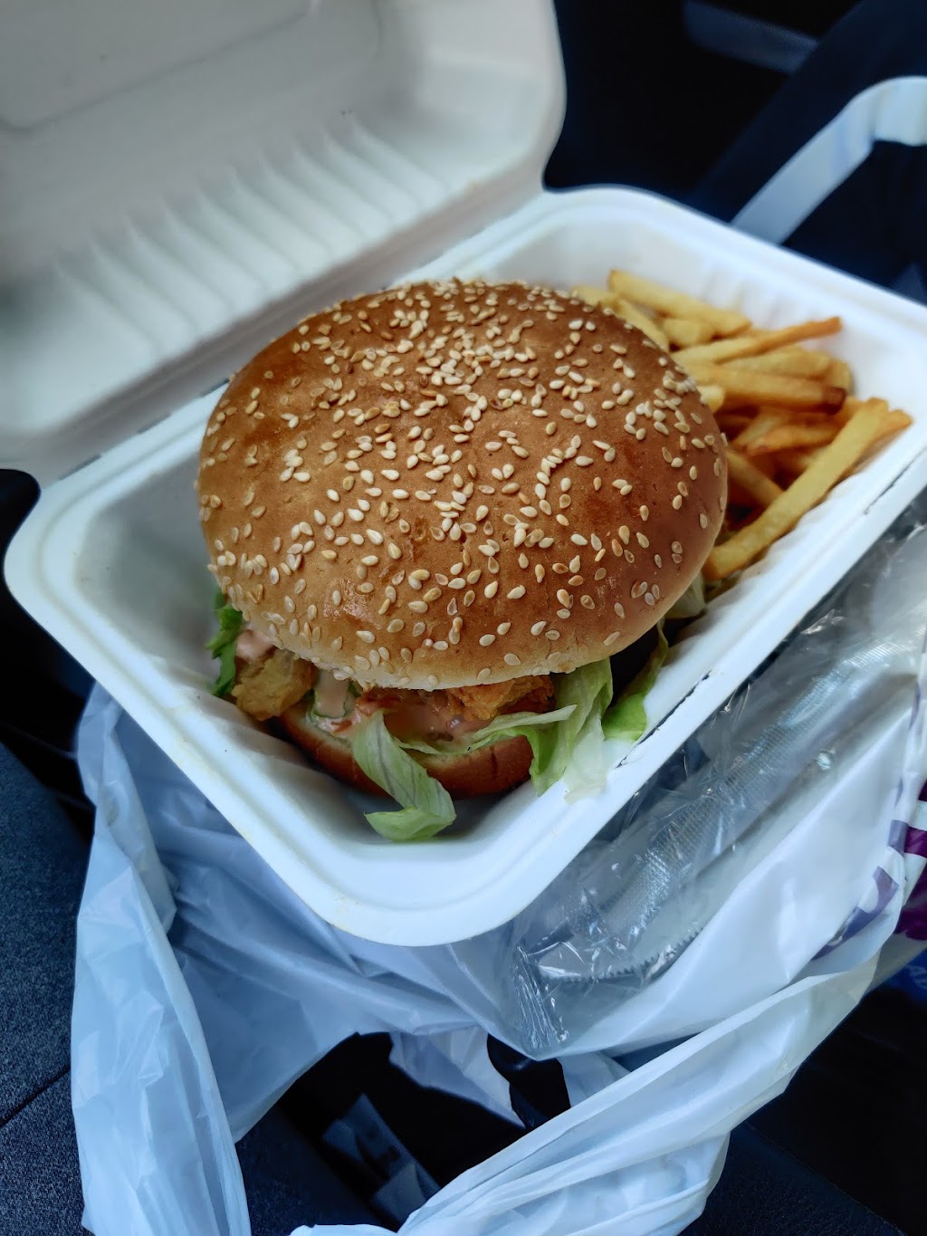 Zinger Halal Express | restaurant | 367 Avenue X, Brooklyn, NY 11223, USA | 3474624272 OR +1 347-462-4272