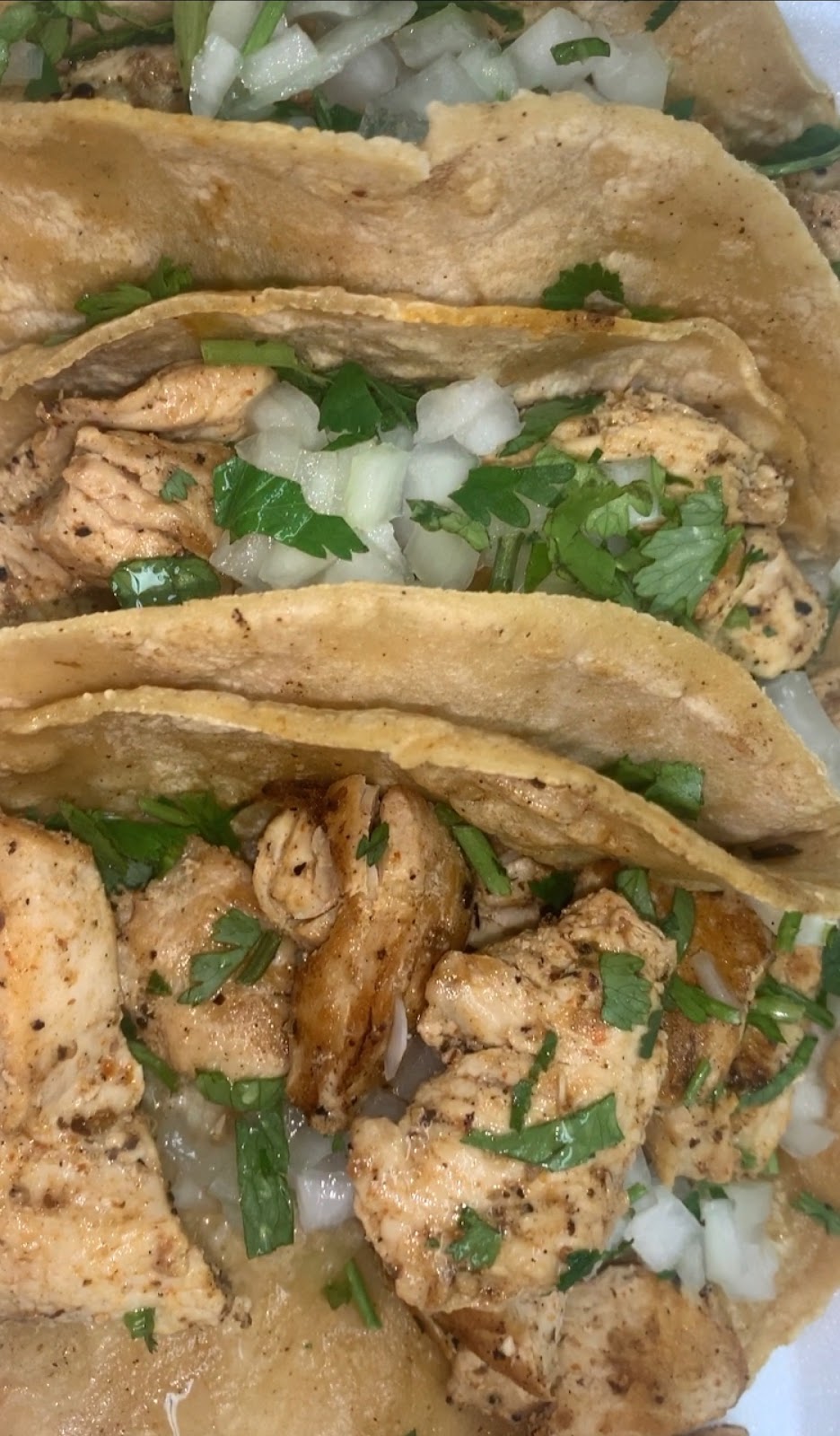 TACO BAJA REPUBLIC | restaurant | 8498 Bird Rd, Miami, FL 33155, USA | 3055880113 OR +1 305-588-0113