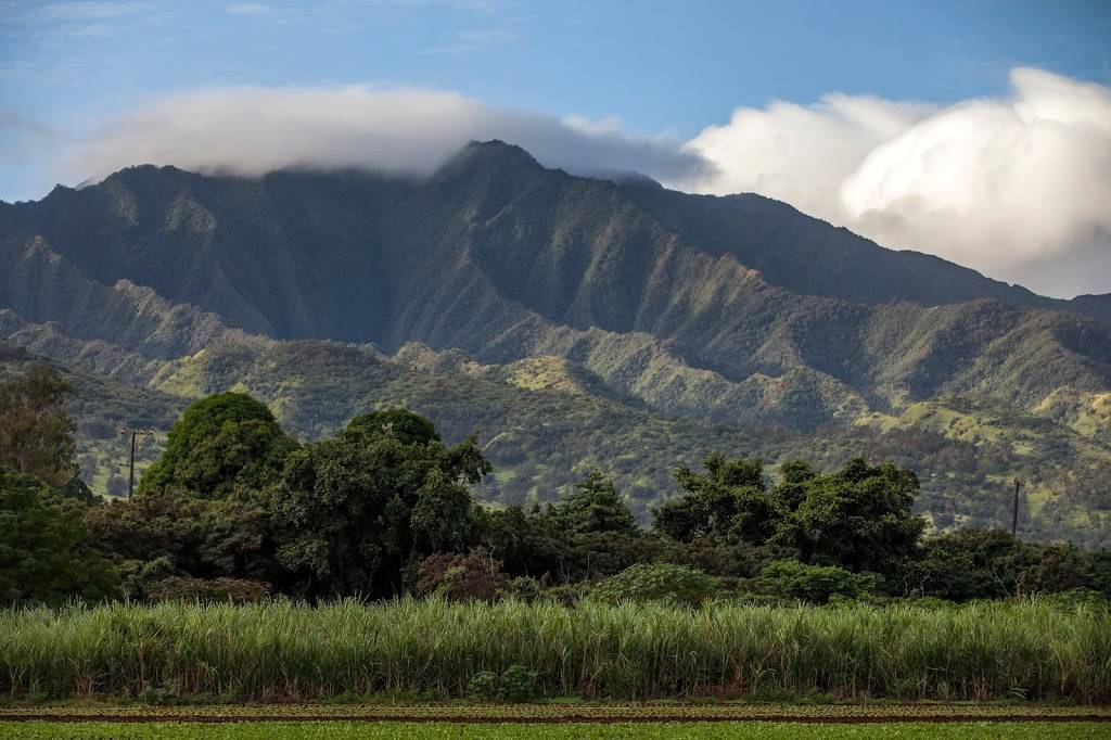 Kō Hana Distillers | restaurant | 92-1770 Kunia Rd #227, Kunia Camp, HI 96759, USA | 8085174067 OR +1 808-517-4067
