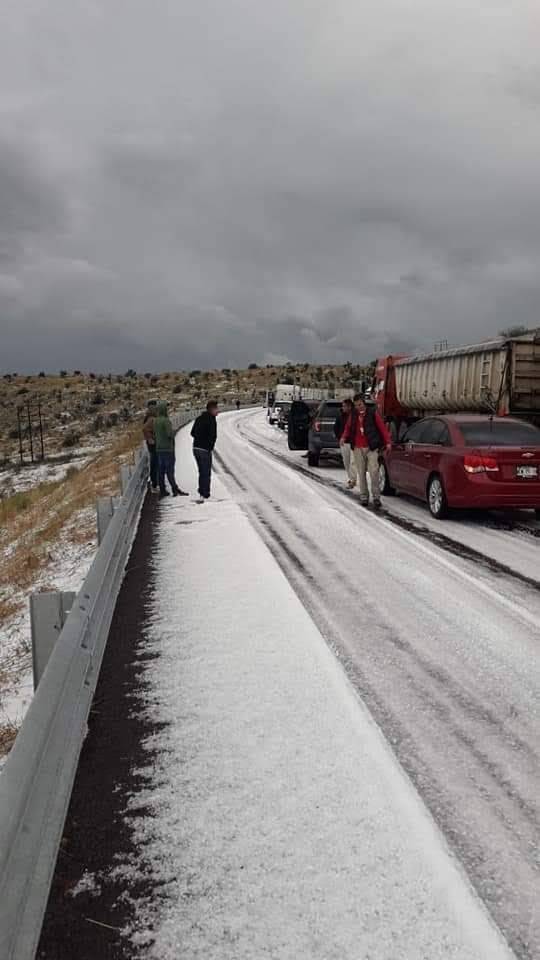 Restaurante China Jardín | restaurant | Paseo de Las Lomas 8110, Terrazas del Valle, 22246 Tijuana, B.C., Mexico | 016645242568 OR +52 664 524 2568