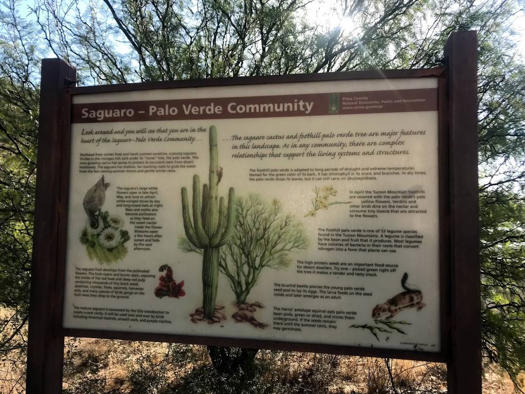 Signature Grill with Patio Dining | restaurant | 3800 W Starr Pass Blvd, Tucson, AZ 85745, USA | 5207923500 OR +1 520-792-3500