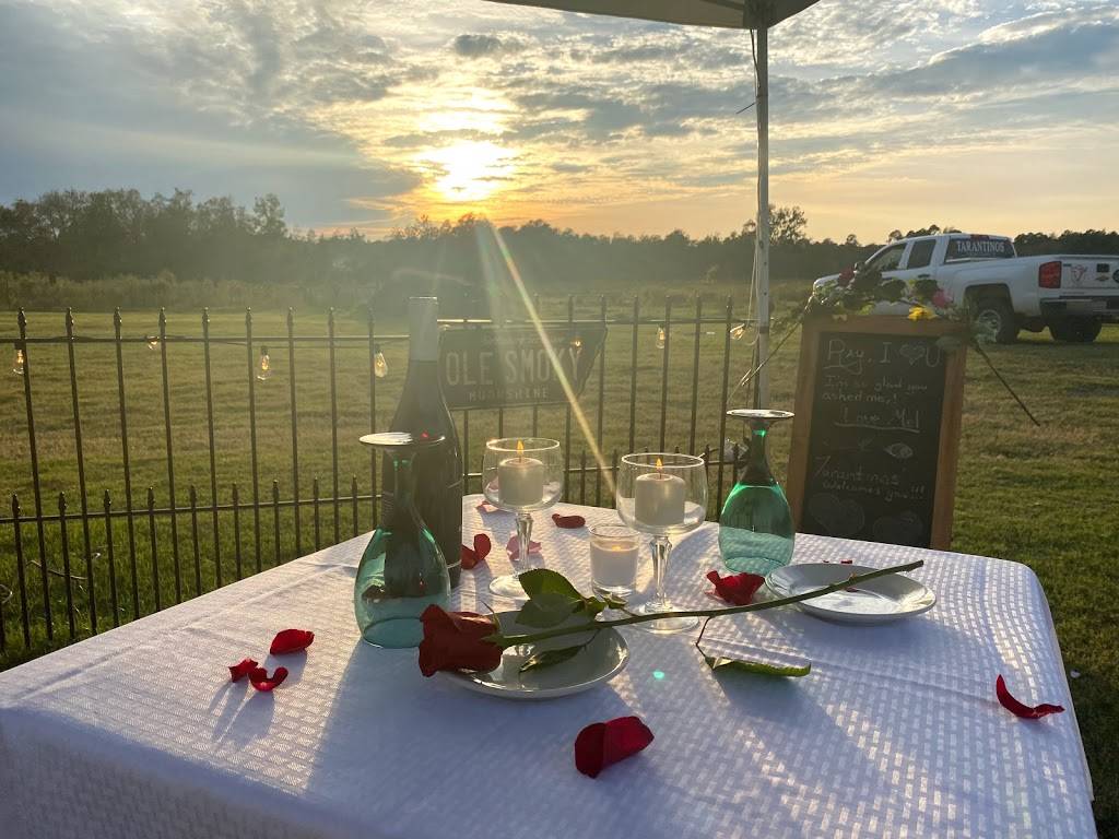 Tarantinos Tuscan Experience | restaurant | 833 Emit Deal Rd, Statesboro, GA 30458, USA | 9122435579 OR +1 912-243-5579