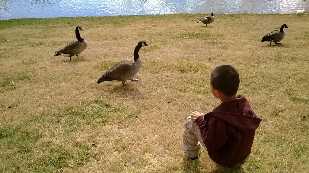 China Wok | restaurant | 214 Ward Cir, Brentwood, TN 37027, USA | 6153738878 OR +1 615-373-8878