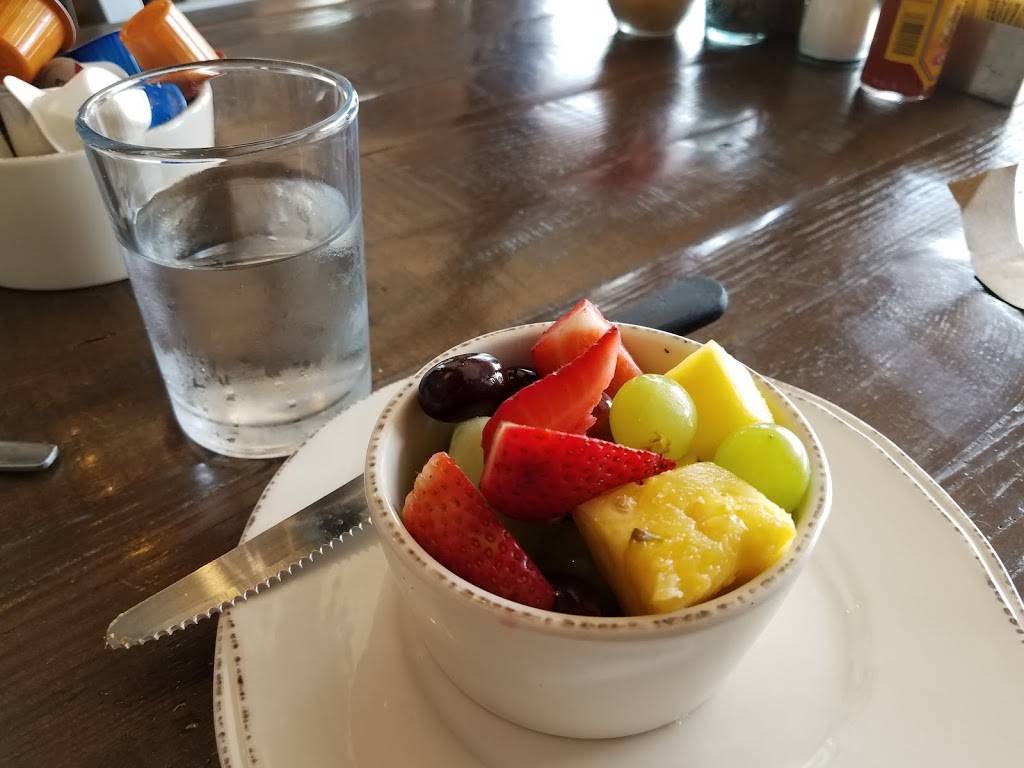 First Watch - Palm Harbor | restaurant | 35146 US Hwy 19 N, Palm Harbor, FL 34684, USA | 7277893447 OR +1 727-789-3447