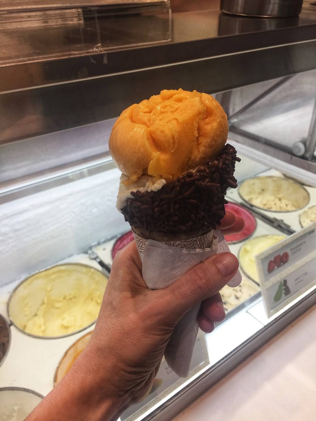 Häagen-Dazs | restaurant | 5455 Tamiami Trail N #512, Naples, FL 34108, USA | 2395911144 OR +1 239-591-1144