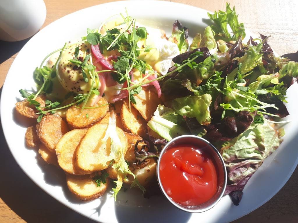 The Cameron | restaurant | 176 Cameron Ave, Ottawa, ON K1S 0X5, Canada | 6137307207 OR +1 613-730-7207