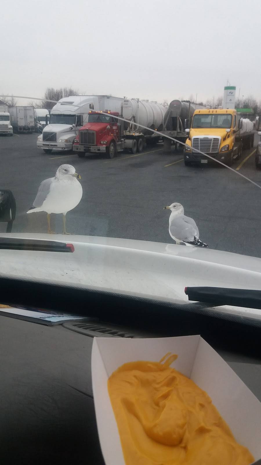 Flying J Travel Center | restaurant | 1 Center Dr, North East, MD 21901, USA | 4102877110 OR +1 410-287-7110