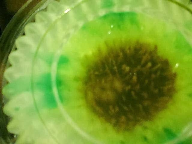 gelatinaselmanjar | bakery | 311 W Cedar St, Compton, CA 90220, USA | 3106080315 OR +1 310-608-0315