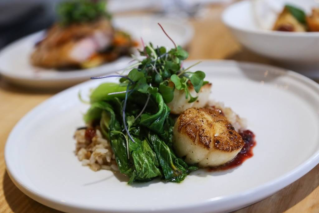 Aurelia - Honest Food & Drink | restaurant | 16 N Main St, Chagrin Falls, OH 44022, USA | 4406007770 OR +1 440-600-7770