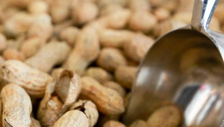 Five Guys | meal takeaway | 1029 Freeport Rd, Pittsburgh, PA 15238, USA | 4127815590 OR +1 412-781-5590