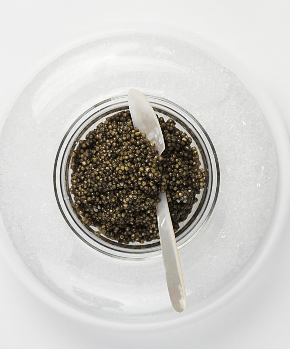 Caviar Russe Miami | restaurant | 1441 Brickell Ave Ground Lobby at the Four Seasons Tower, Miami, FL 33131, USA | 3059026969 OR +1 305-902-6969