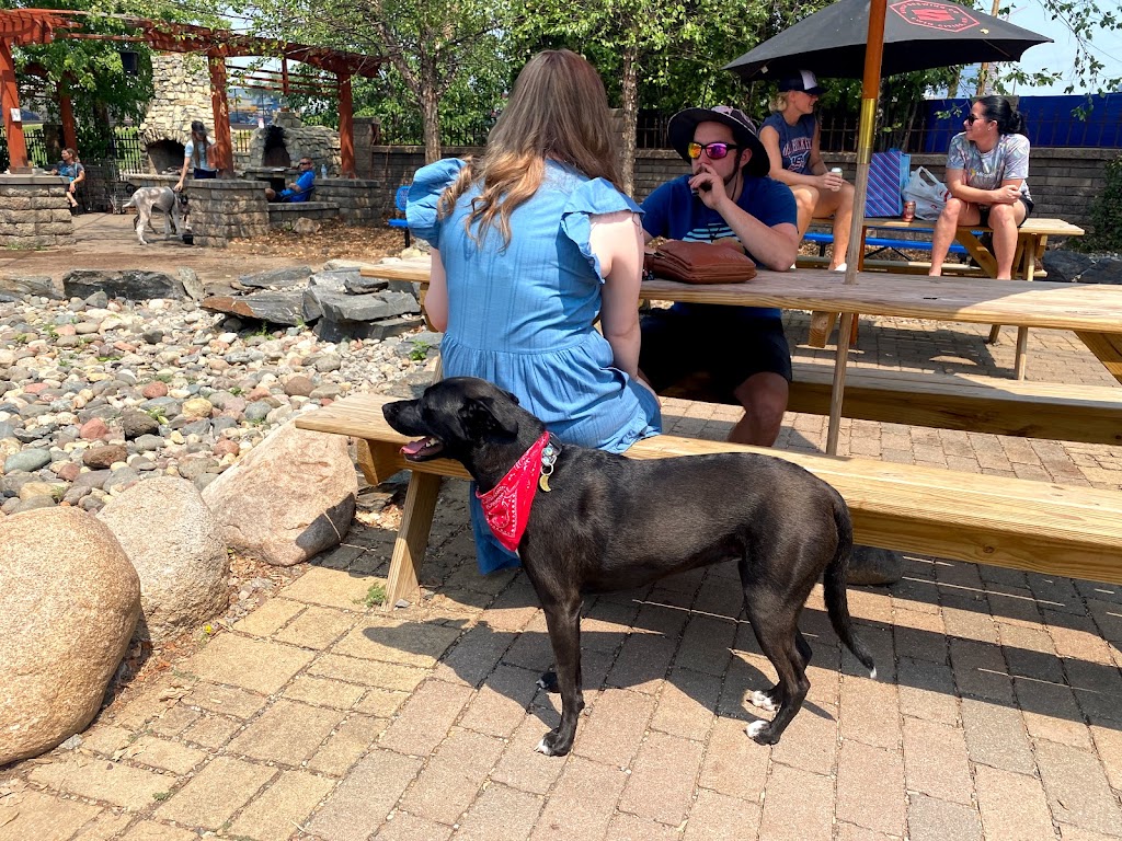 Unleashed Hounds and Hops | restaurant | 200 East Lyndale Ave N, Minneapolis, MN 55405, USA | 6124395060 OR +1 612-439-5060