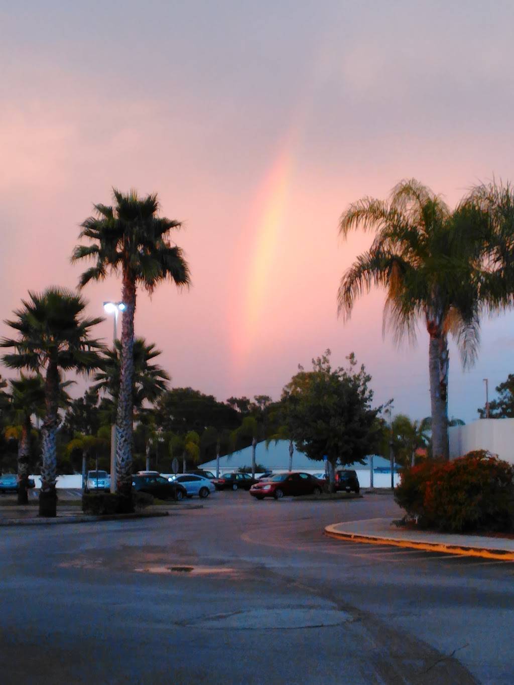 Papa Johns Pizza | restaurant | 935 Sebring Square.., Sebring, FL 33870, USA | 8633861177 OR +1 863-386-1177