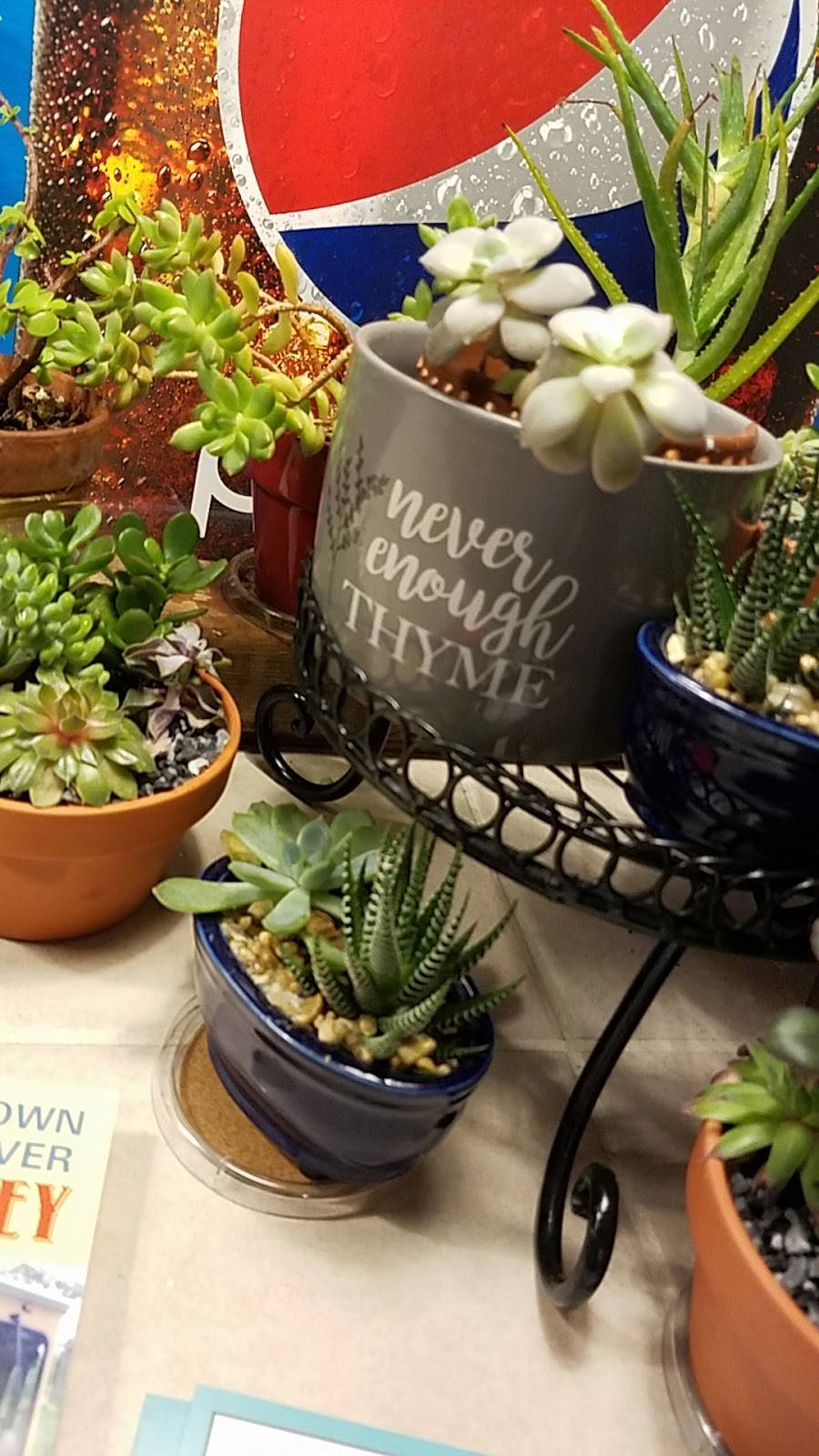 A Thyme for All Seasons | restaurant | 63 N Main St, Toms River, NJ 08753, USA | 7322552650 OR +1 732-255-2650