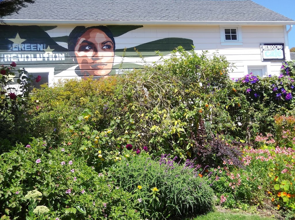Mendocino Cafe | cafe | 10451 Lansing St, Mendocino, CA 95460, USA | 7079372422 OR +1 707-937-2422
