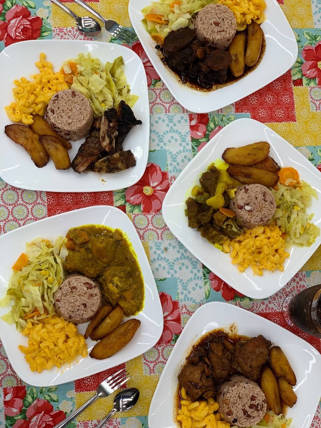 Tropical Delight 1 Inc | restaurant | 1741 S Pine Ave, Ocala, FL 34471, USA | 3526209887 OR +1 352-620-9887