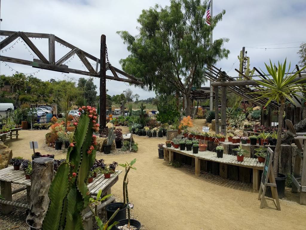 Bettys Pie Whole Saloon | restaurant | 114 N El Camino Real, Encinitas, CA 92024, USA | 7602306781 OR +1 760-230-6781