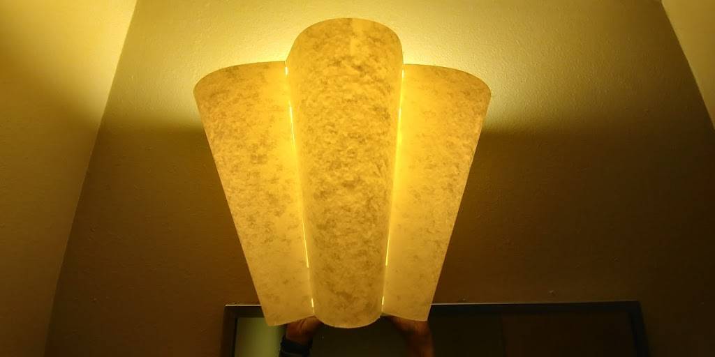 Starbucks | cafe | 30503 US Hwy 19 N B, Palm Harbor, FL 34684, USA | 7277872085 OR +1 727-787-2085